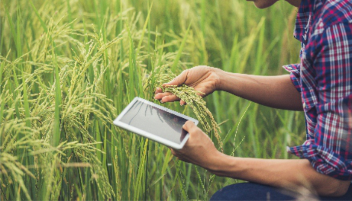 Curso De Herramientas De Gestión Para La Empresa Prestadora De Servicios Agrícolas De Pulverización