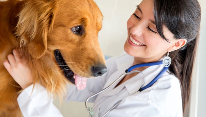 Auxiliar En Clínicas Veterinarias-Con Certificación Internacional